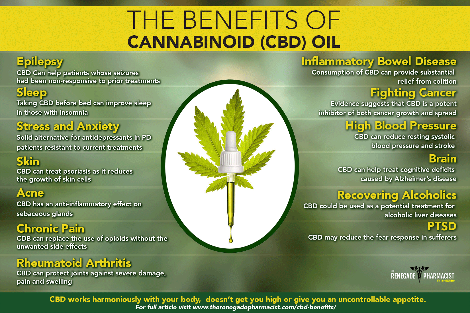 Sixteen Health Benefits Cbd Oil Cannabidiol Stock Vector (Royalty Free)  1646759578